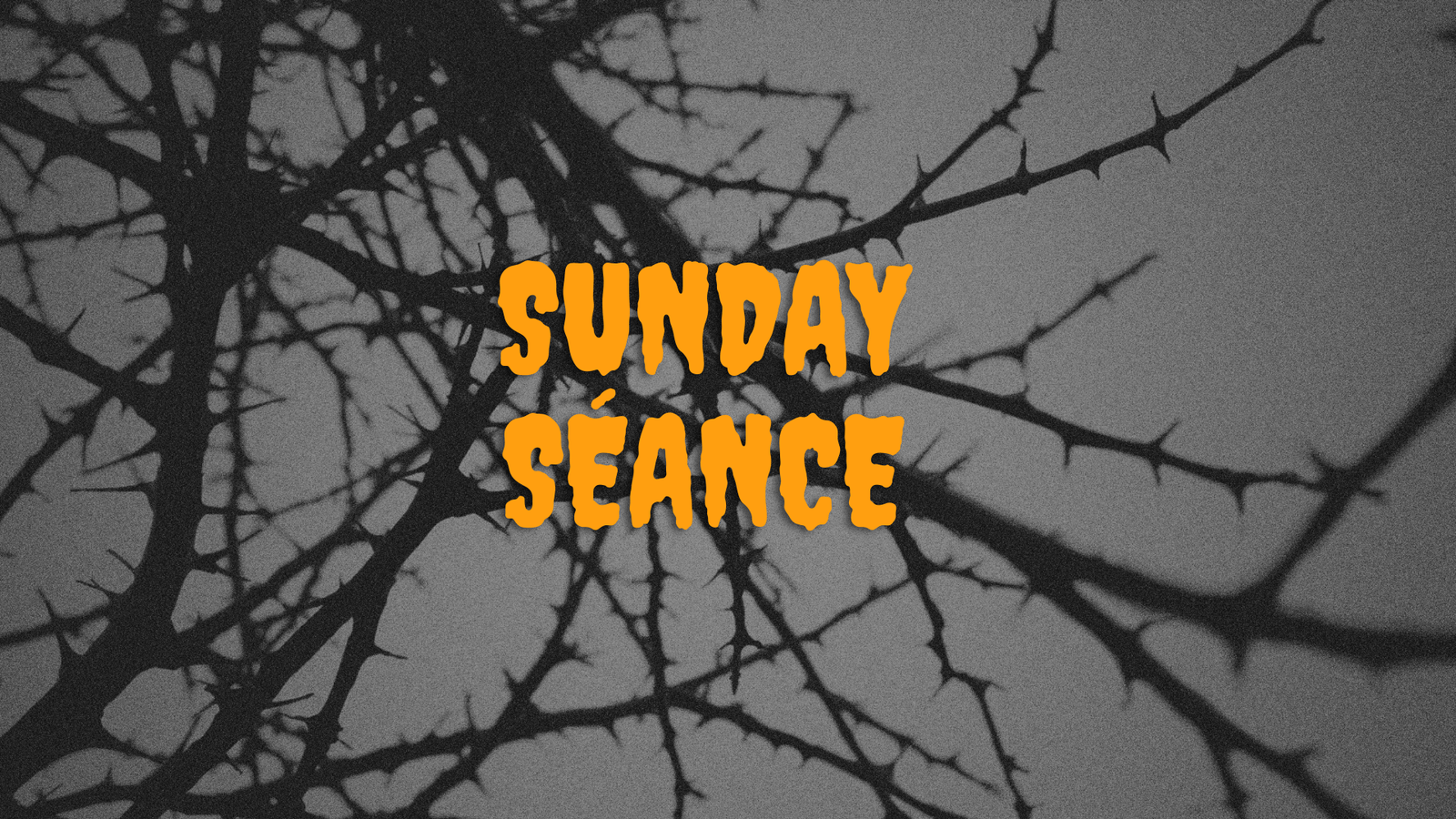 Sunday Séance