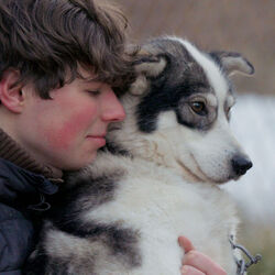 Special "EinBLICK": FOLKTALES - MIT SCHLITTENHUNDEN INS LEBEN